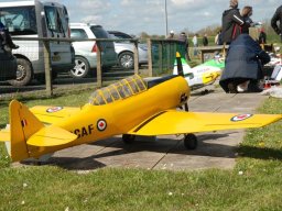 Les Dimanches Matins