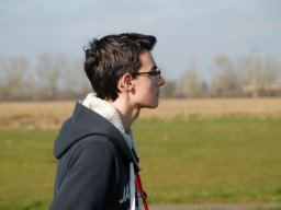 Les Dimanches Matins