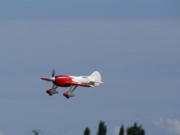 Les Dimanches Matins