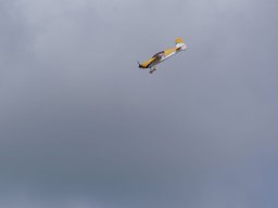 Les Dimanches Matins