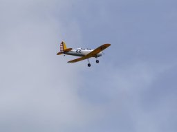 Les Dimanches Matins