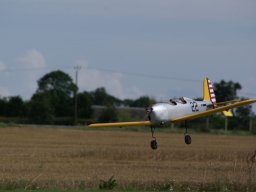 Les Dimanches Matins