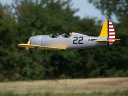 Les Dimanches Matins